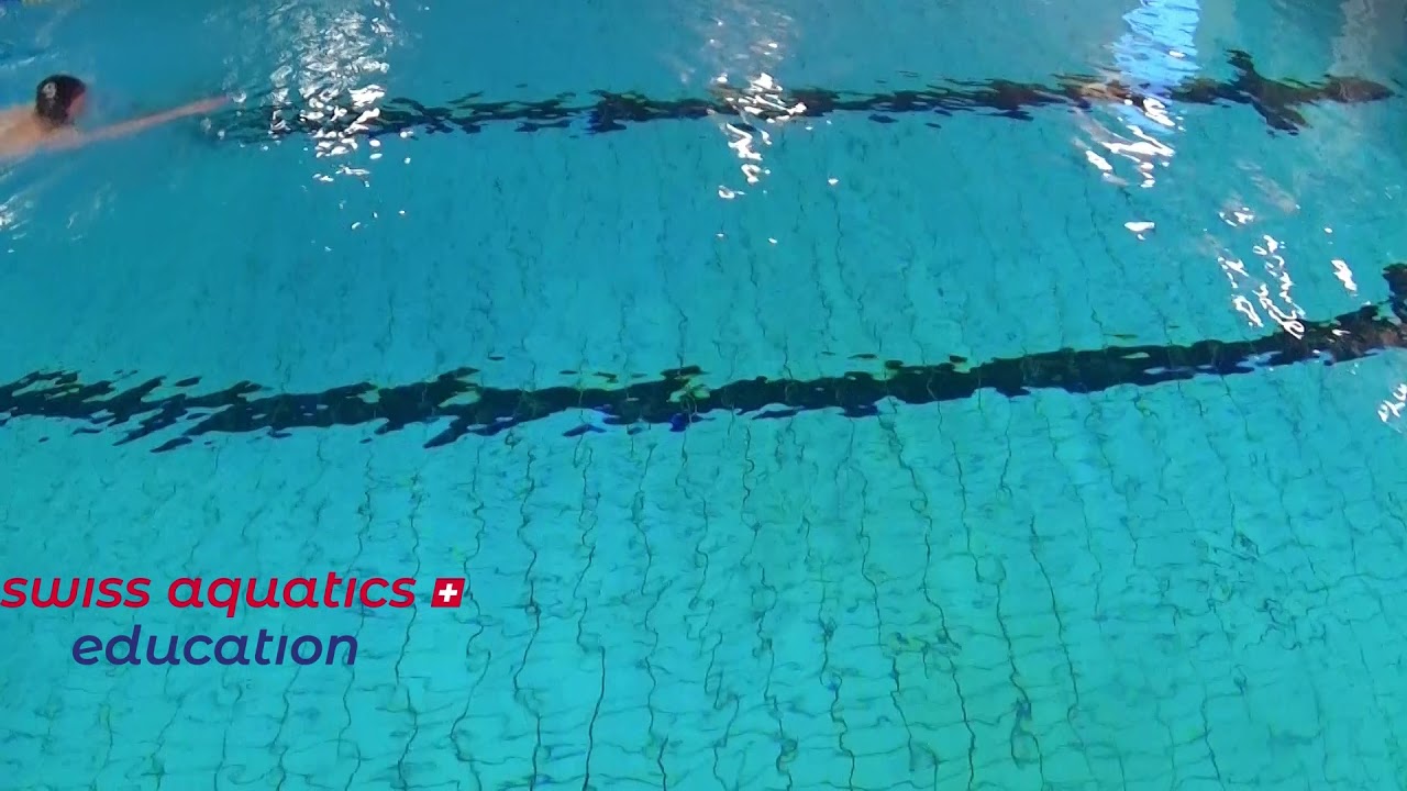 Wasserball &ndash; Pallanuoto &ndash; Waterpolo: Schwimmtechniken/ Tecniche di nuoto / Techniques de natation