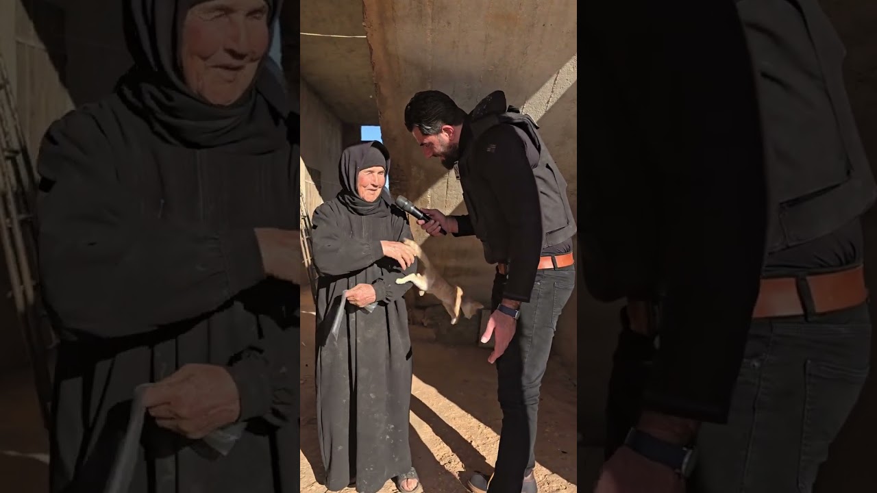 مرباية قطة وبساوي زيتون ليش عبيقصفونا😔
