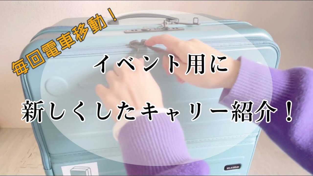 【ハンドメイド】オルティモのLサイズキャリー！
