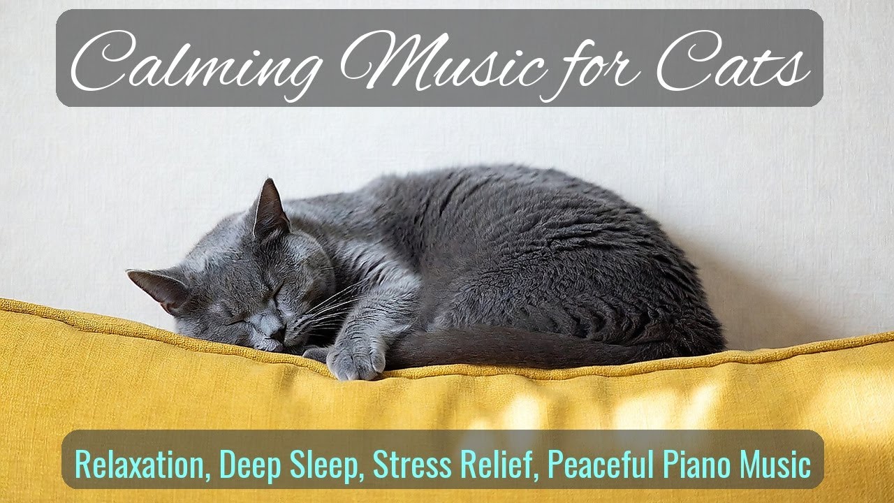 Calming Music for Cats - Relaxation, Deep Sleep, Stress Relief, Peaceful Piano Music | Season 54