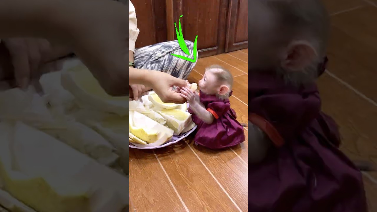 Little Jumie Sitting Calmly, Enjoying Her Snack in Peace