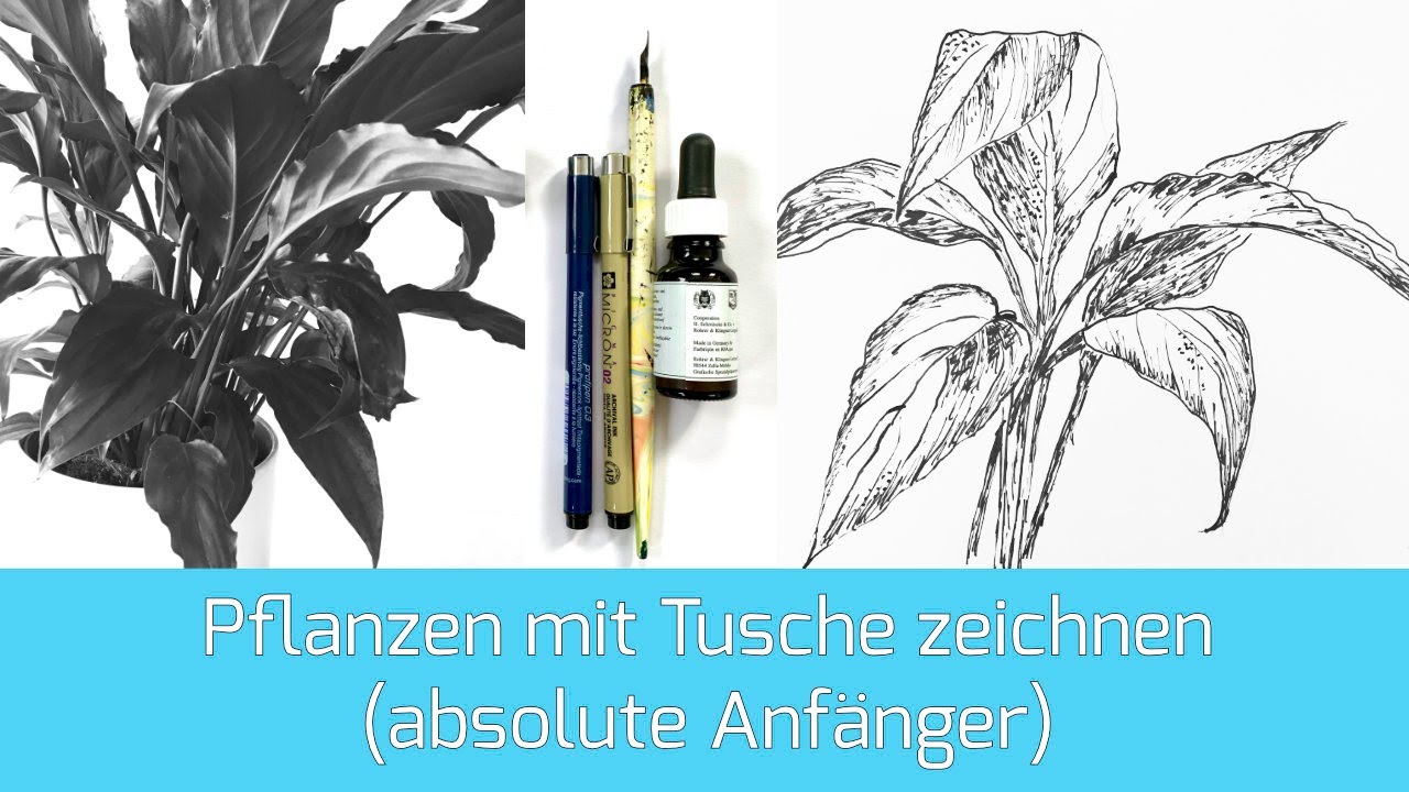Pflanzen mit Tusche zeichnen für Anfänger  (Lektion 9)
