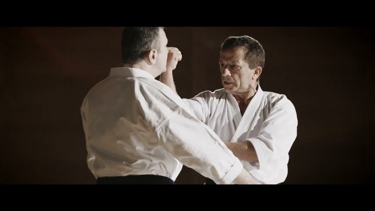 Tekki Nidan Ōyō Bunkai - Master Dario Marchini