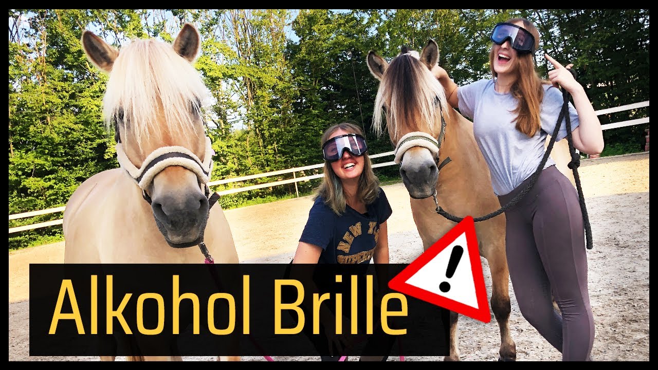 👻 Am Stall mit ALKOHOL BRILLE ⚠️ Damit reiten? // Blondis auf Fjordis