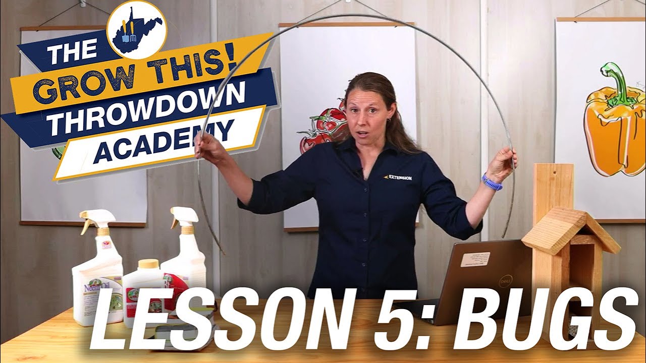 Grow This Throwdown Academy: Let's Talk About Bugs