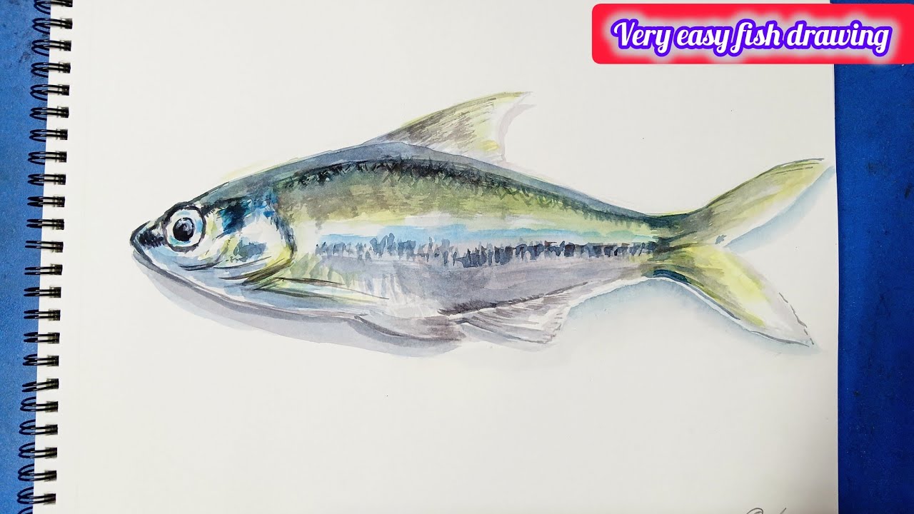 How To Drow With A Fish drawing | Simple Steps By Step 