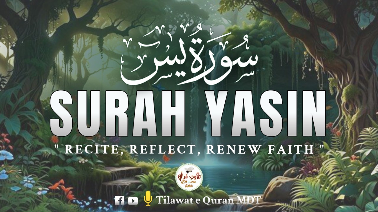 Surah Yaseen (يس) | Heart-Soothing Recitation for Reflection & Tranquility