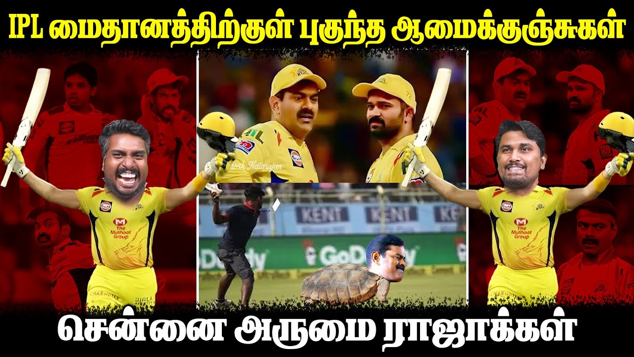 IPL மைதானத்திற்குள் புகுந்த ஆமைக்குஞ்சுகள் | சென்னை அருமை ராஜாக்கள் | IPL | CSK | Seeman | U2 Brutus