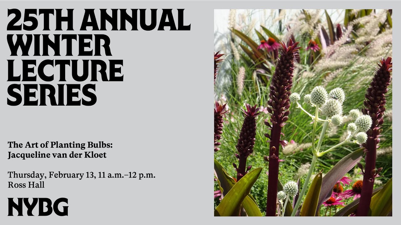 The Art of Planting Bulbs: Jacqueline van der Kloet