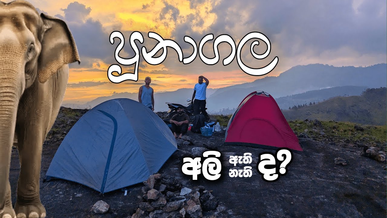 වන අලින්ගේ ඉසව්වේ කඳවුරු රාත්‍රිය | පූනාගල | Poonagala camping via Pilkington and Millennium point