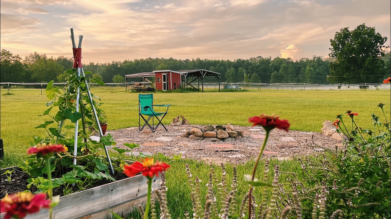 Adding a Fire Pit to My Garden! | North Florida Gardening and Homesteading