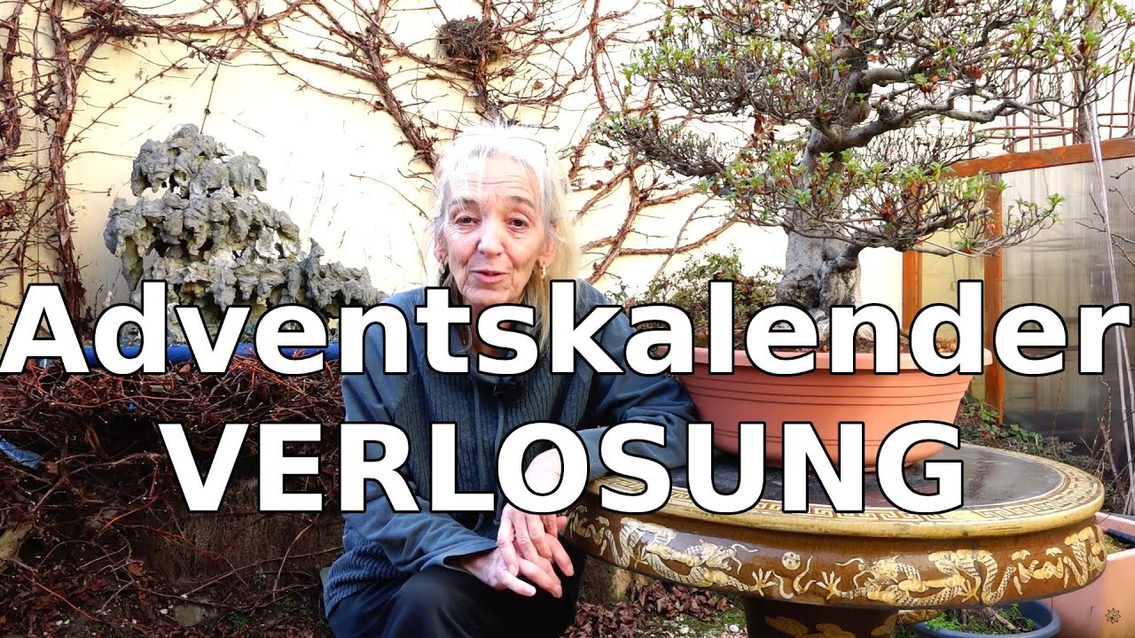 Verlosung Adventskalender 2025