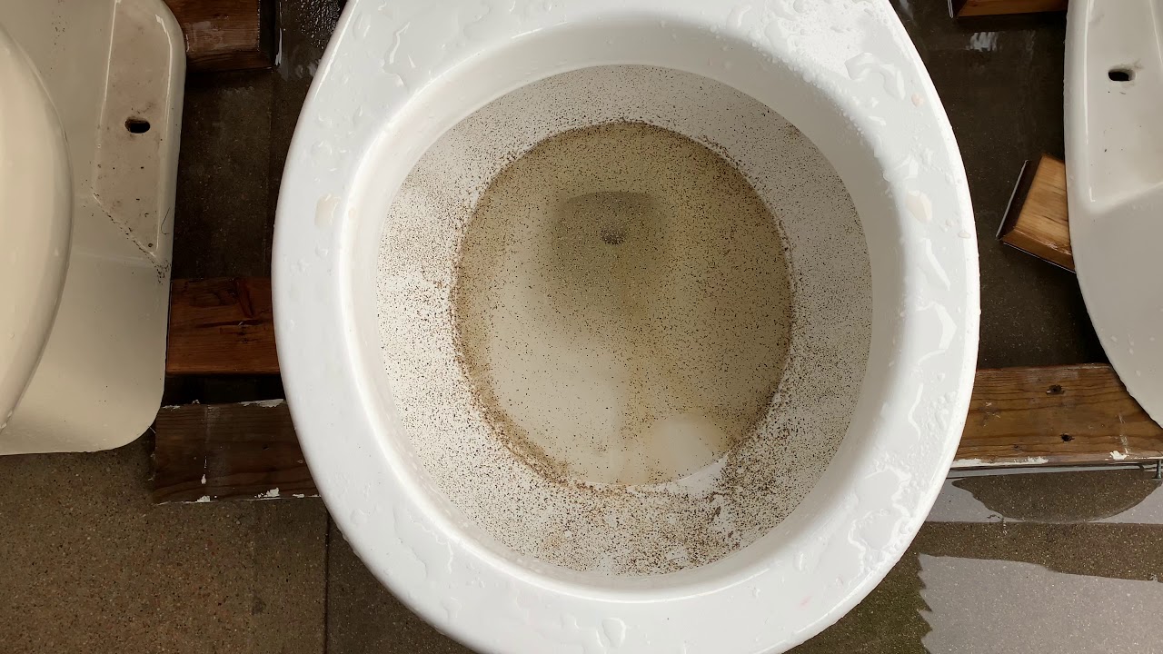 Kohler Wellworths Bowl Rinse Test