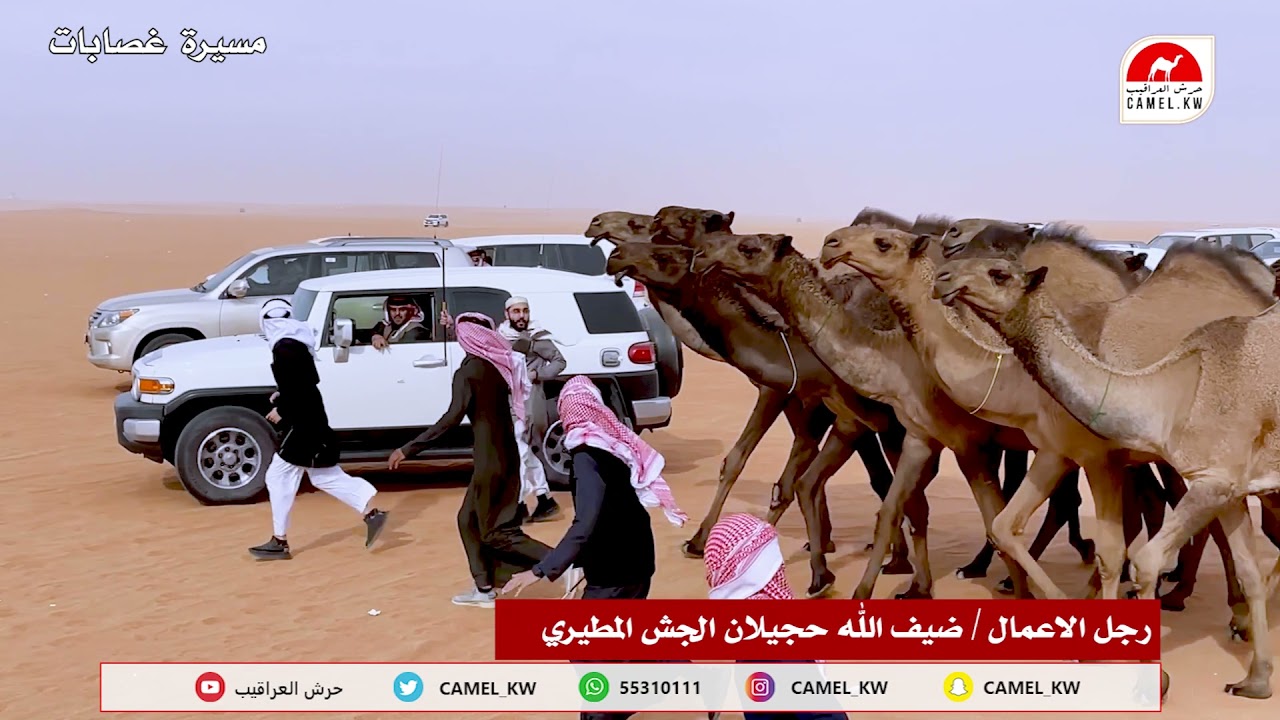 مسيرة / ضيف الله حجيلان الجش المطيري