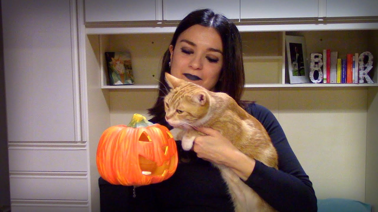 TUTTI I LIBRI PER HALLOWEEN SCELTI DA VOI!