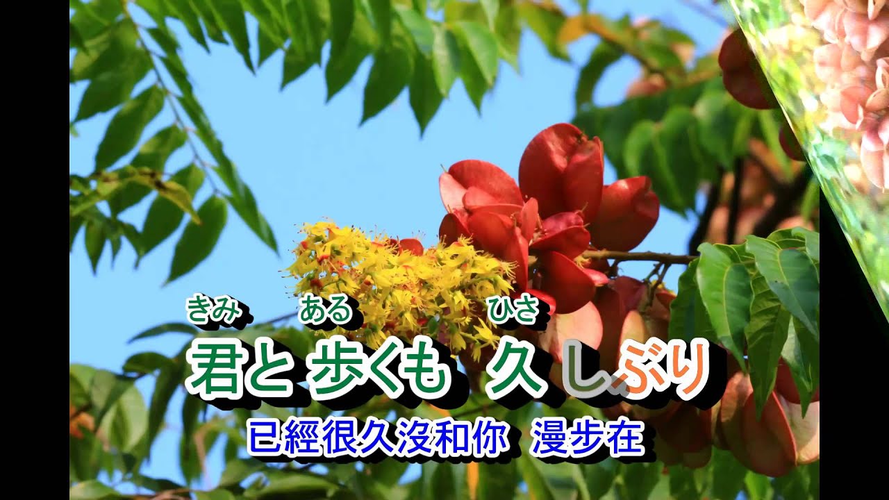01-026  港町十三番地***美空ひばり/田川壽美  (台:港町十三番地) 音圓  950062   金嗓 40298