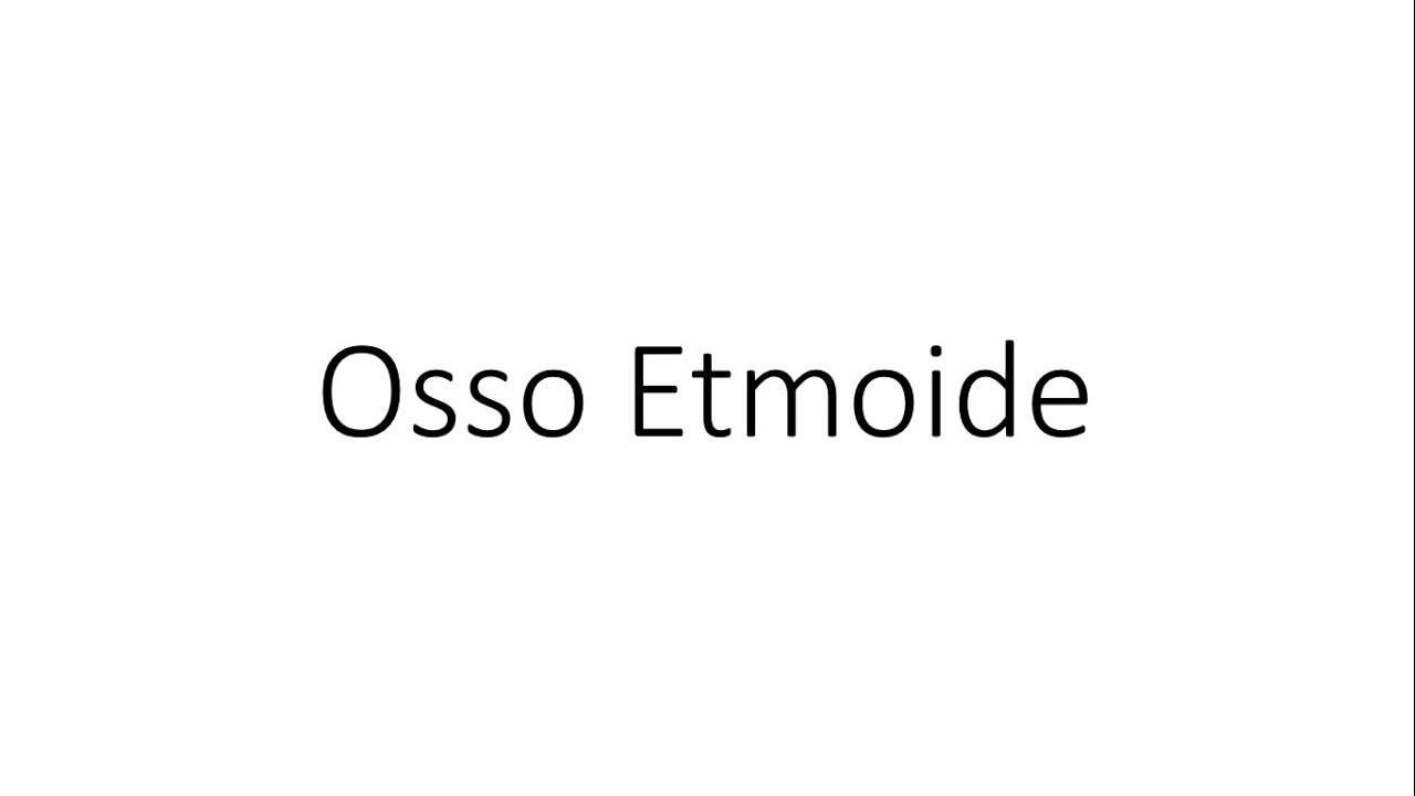 Cabeça - Osso Etmoide