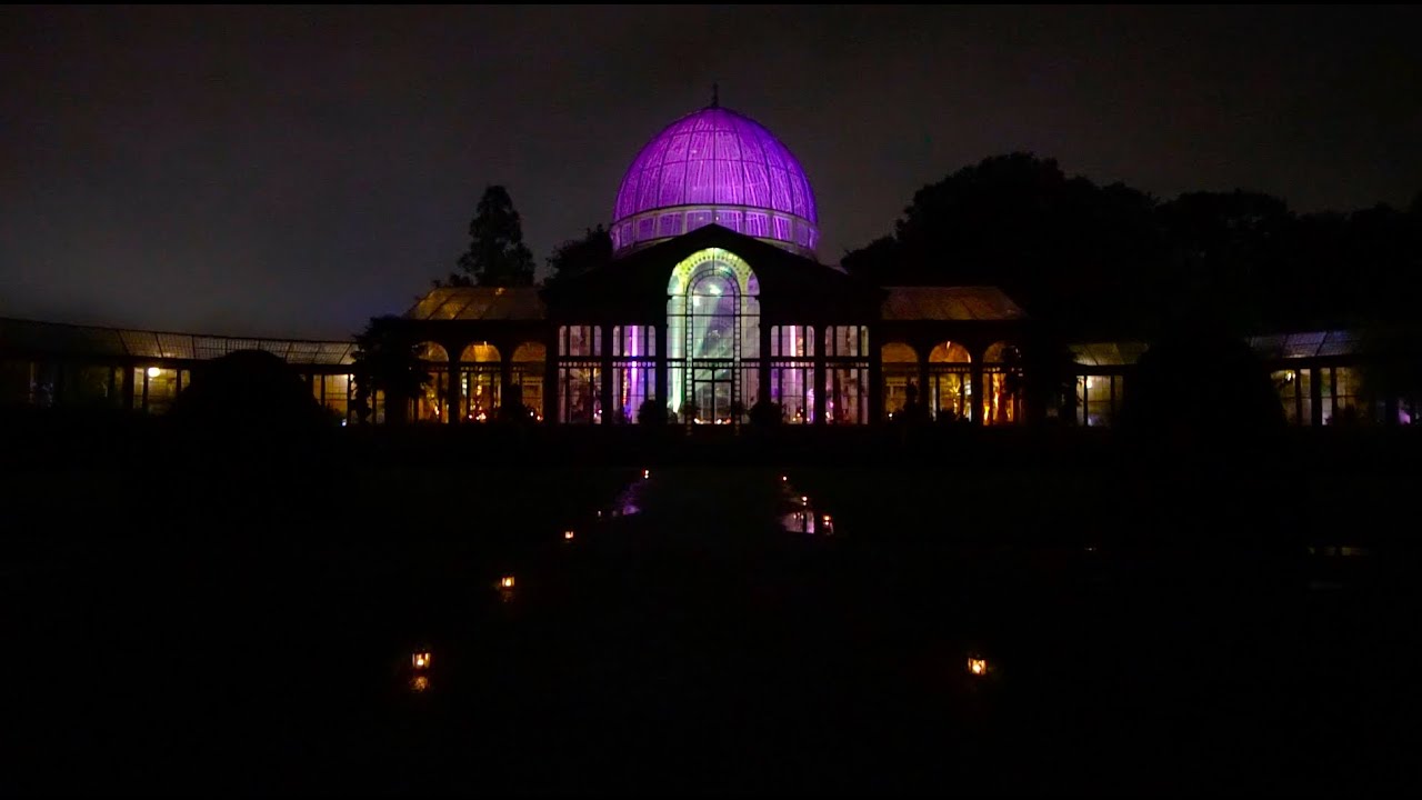 Taljeet & James | KAT FILMS | Syon Park, London