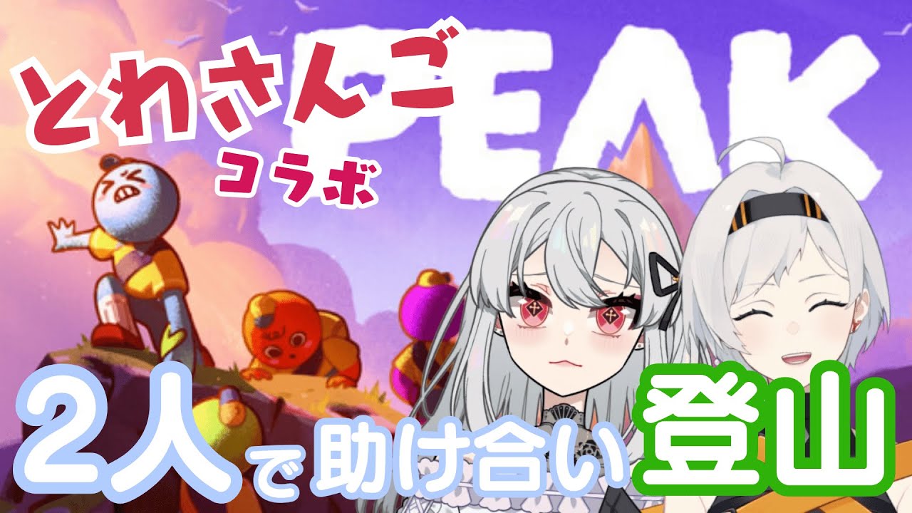 【