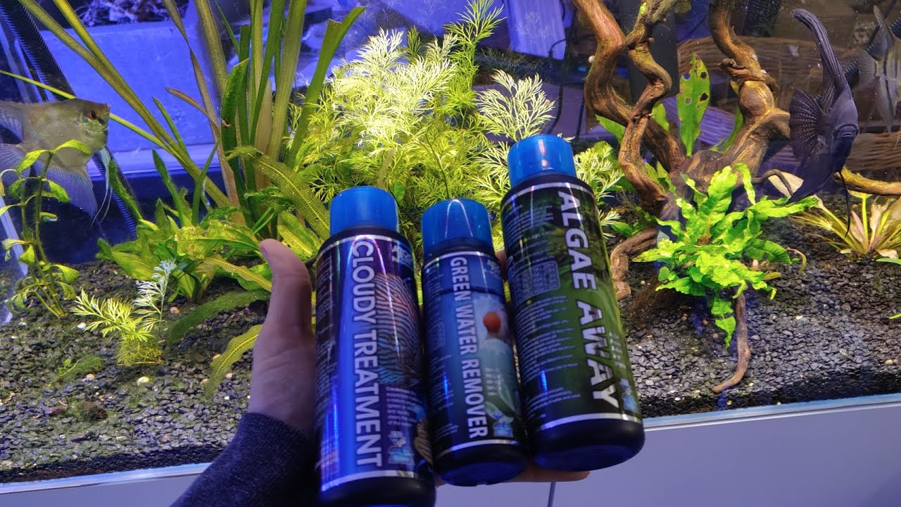 🐟 Productos que no deberían faltar en tu acuario. Cloudy treatment. Algae away, Green water remover