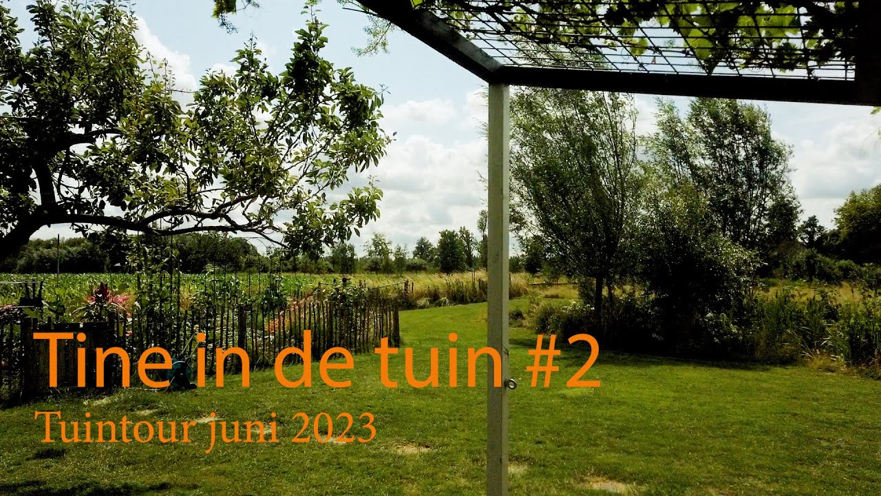 Tine in de tuin #2   Tuintour Juni 2023