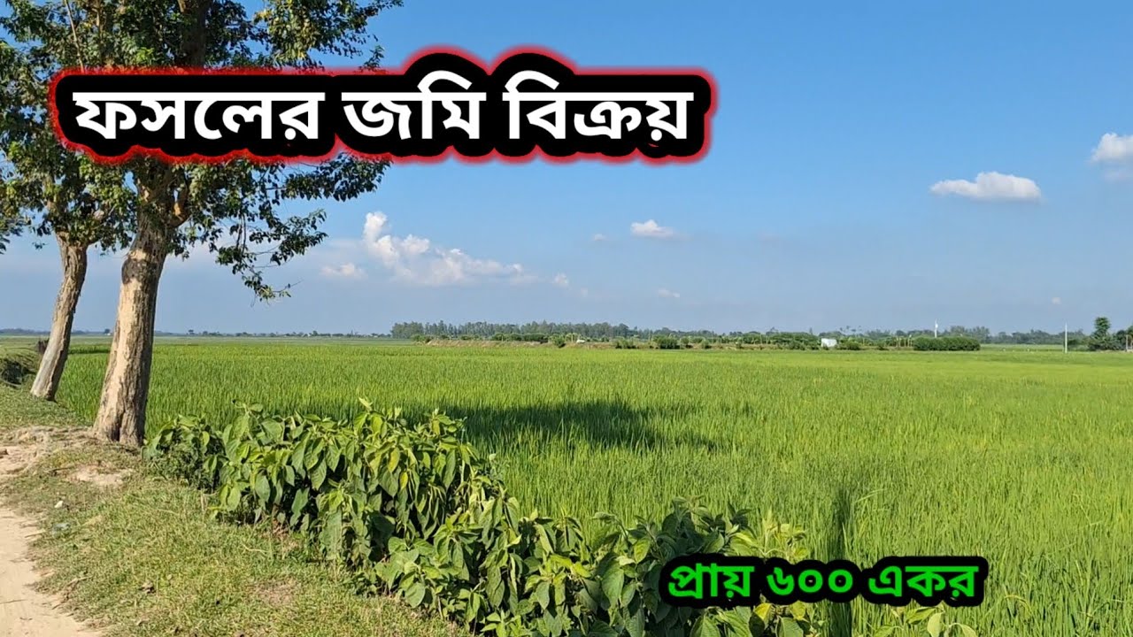 ফসলের জমি বিক্রয় বিভিন্ন ধরনের প্রজেক্ট এর জন্য।  solar project, agriculture farming, fishery, 