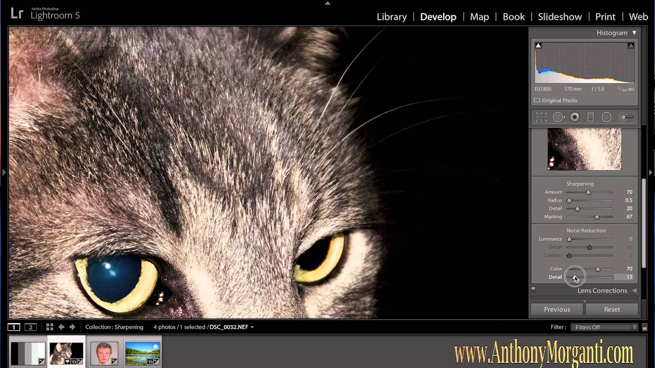 Learn Lightroom 5 - Part 5: Sharpening & Noise Reduction (Training Tutorial)