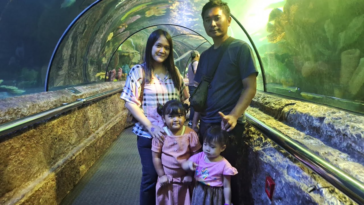 Pertama kali ajak kaka cin dan dede mei ke Seaworld