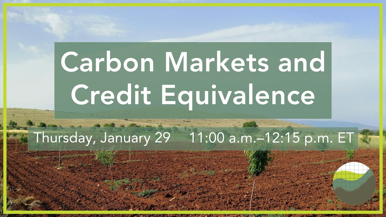 WEBINAR - Carbon Markets and Credit Equivalence