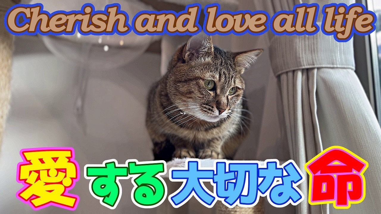 大切な愛する命