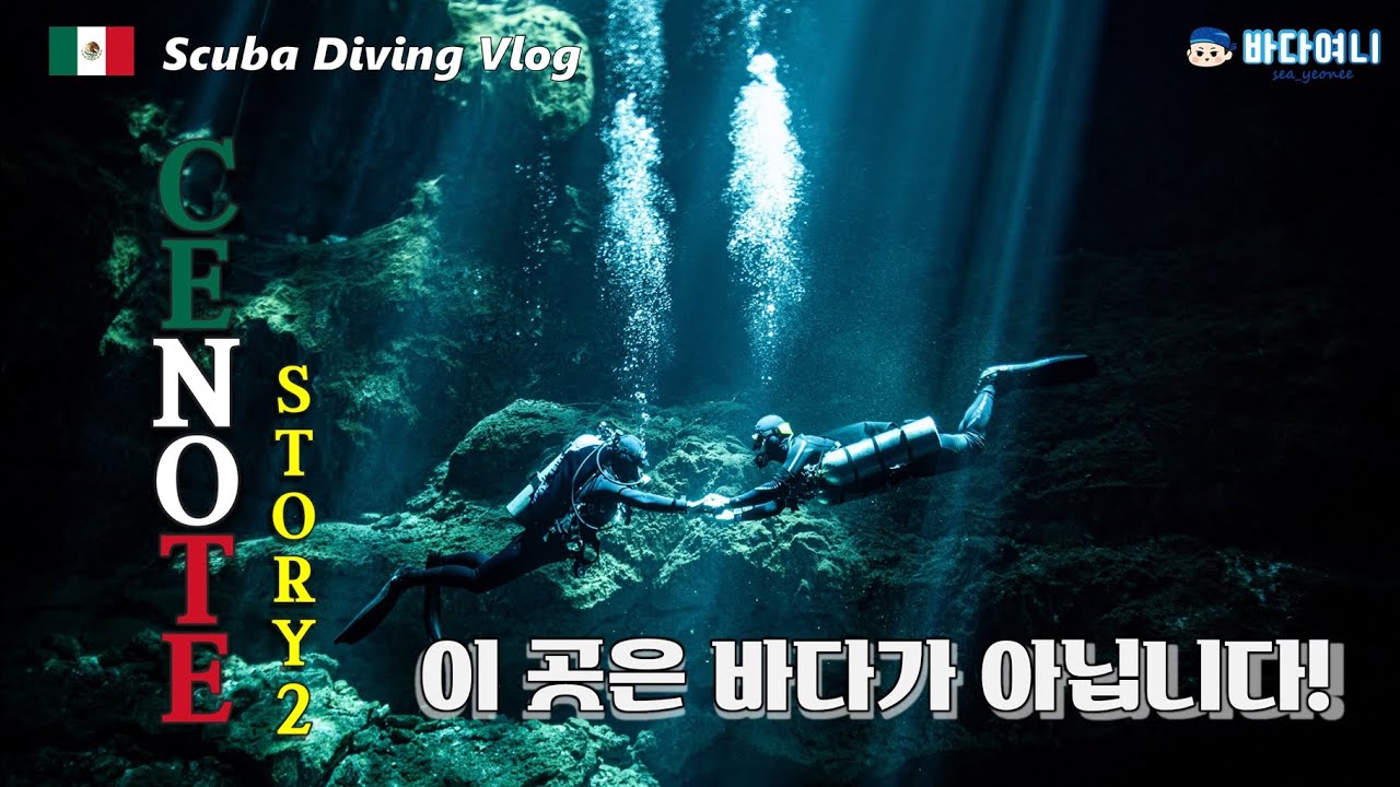 멕시코 세노테 스쿠버다이빙#2 ㅣ 다이빙 시작한게 최고 잘한일이야..ㅣ 하루에 총 3번의 동굴탐험을 하다 ㅣ scuba diving vlog