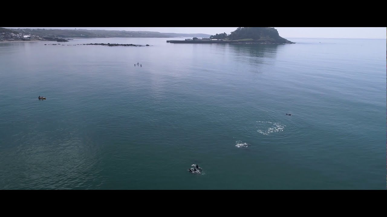 Cornwall 2019 - Travel Film