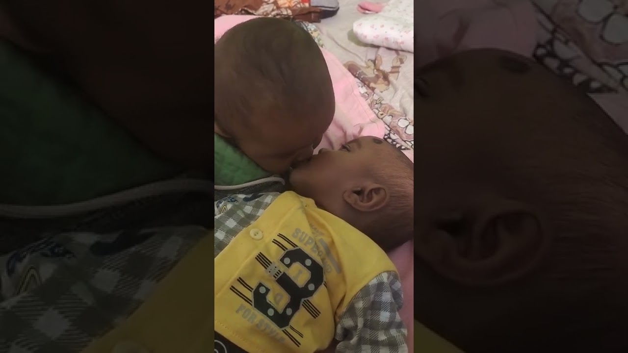 twin baby kissing each other.