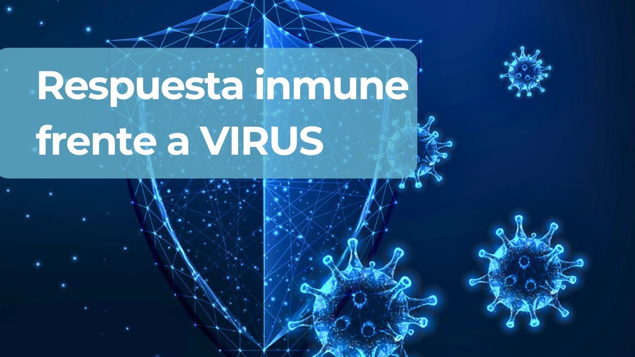 Cómo funciona la respuesta inmune frente a virus?