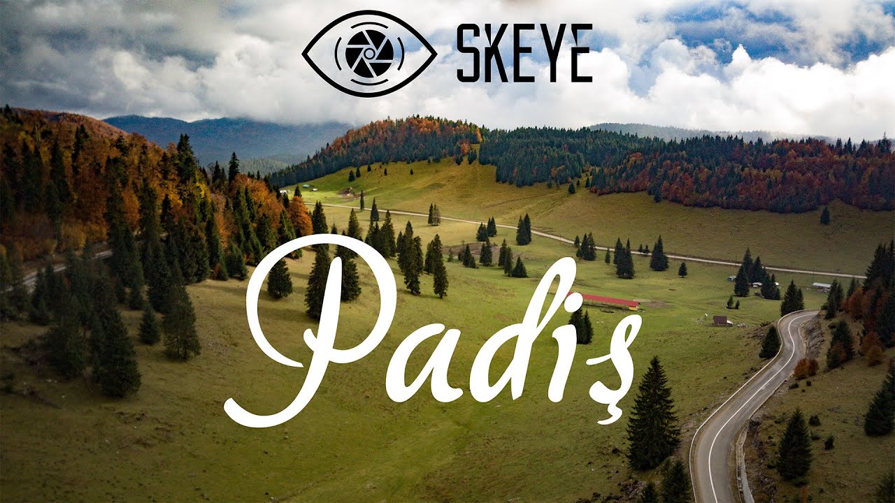 Padis, Romania from the SkEye
