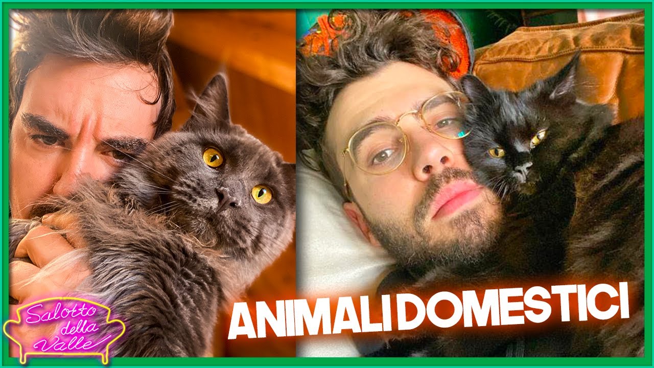 OUR PETS - 5 Years Later
