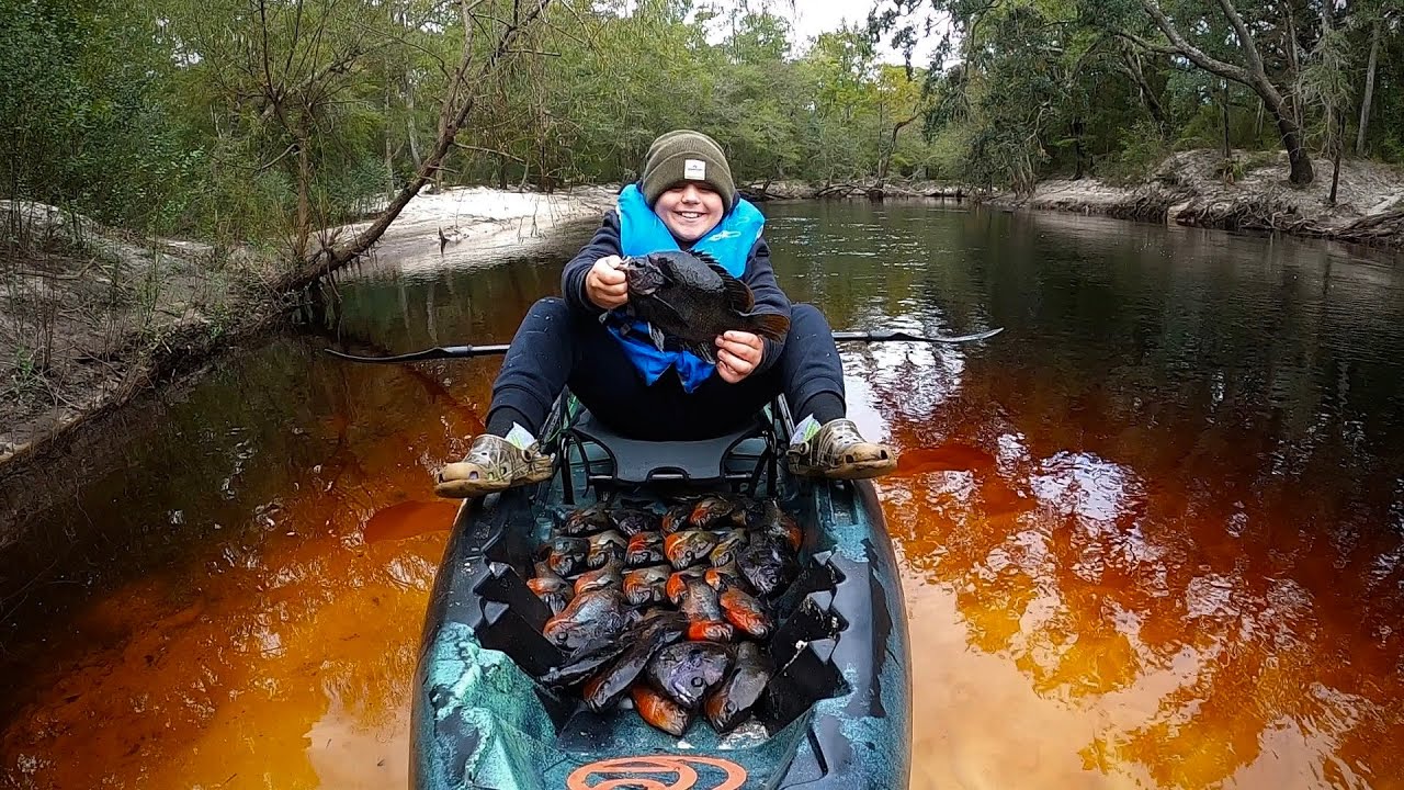 Fall TOPWATER Panfish! This was INSANE!!