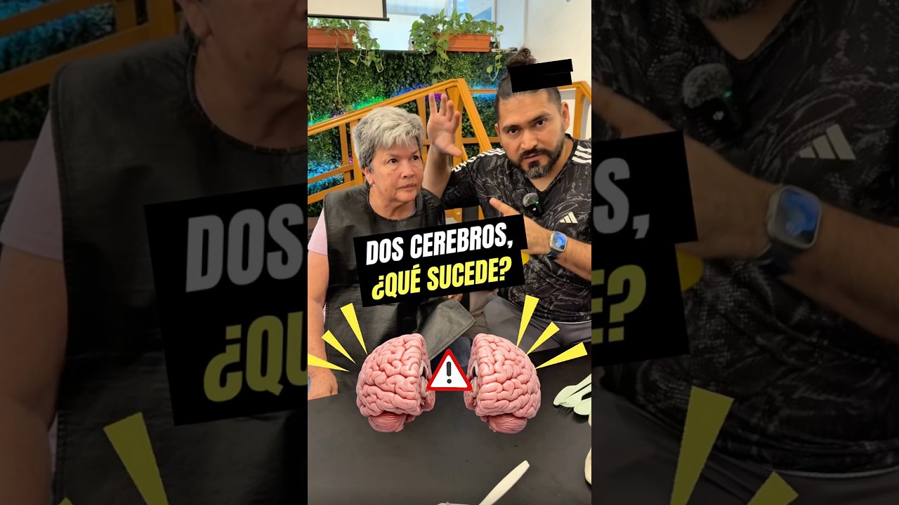 Un cerebro dividido, un cuerpo confundido. #fisioterapia #neurorehabilitation #stroke