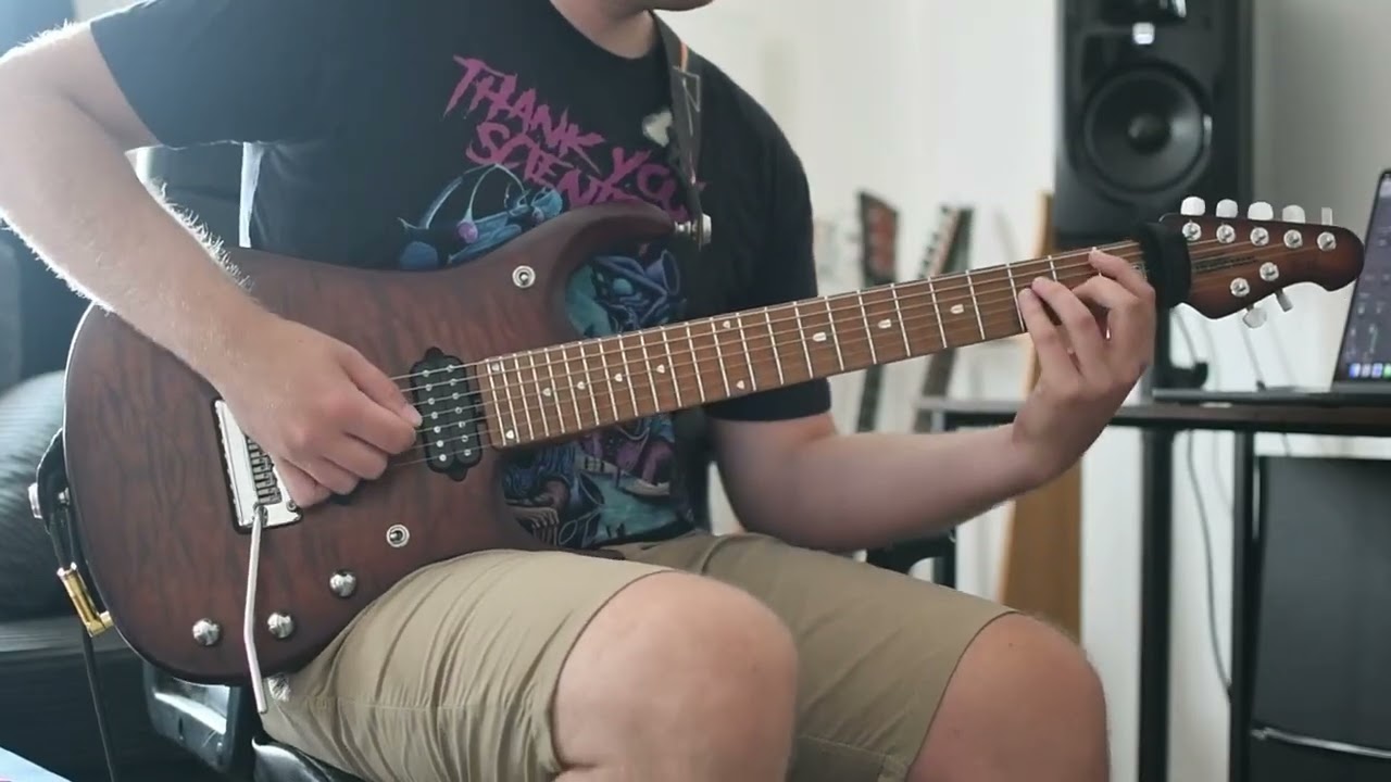 Swarm - Thank You Scientist (Guitar Cover)