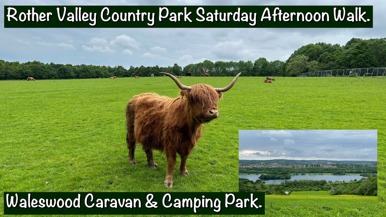 Rother Valley Country Park | Peaceful Saturday Afternoon Walk | Waleswood Caravan Park 4K