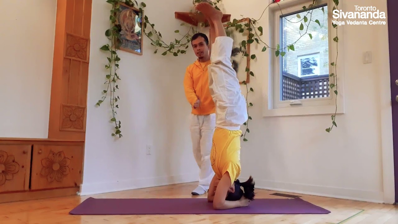 The Head stand