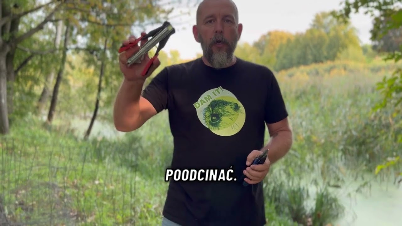 Zabezpieczamy drzewa przed bobrami