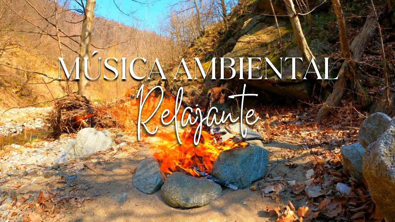 Música Ambiental Relajante| Ideal para Estudiar, Trabajar, Super mercados, Hoteles, Camping