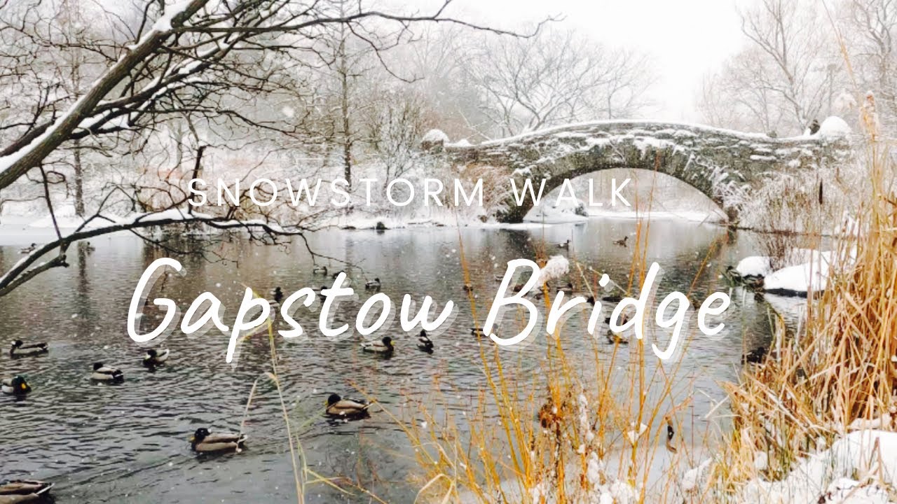 Central Park Scenery Gapstow Bridge, 4K ultra HD