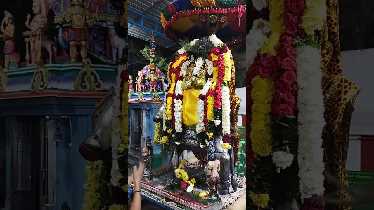 #சனிப்பிரதோஷம் 14.02.2026 #காரணீஸ்வரர் #திருக்கோயில் #மயிலாப்பூர் சென்னை 4