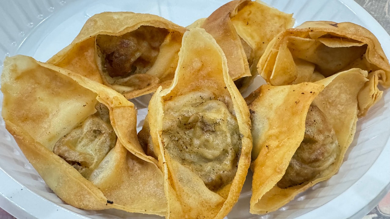 Make & Freeze Homemade Chicken Wontons | Ramadan Special Recipe | Perfect Iftar Snack Recipe 🌙