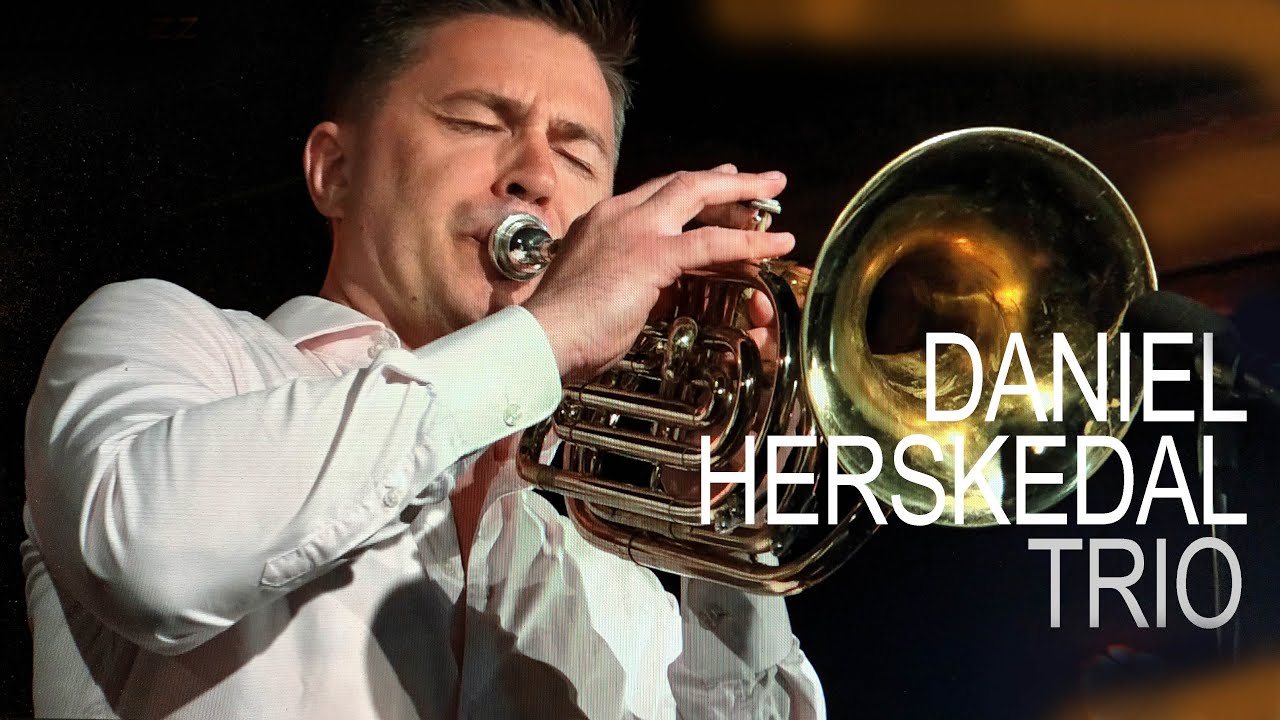 DANIEL HERSKEDAL TRIO  |  NATTJAZZ 25
