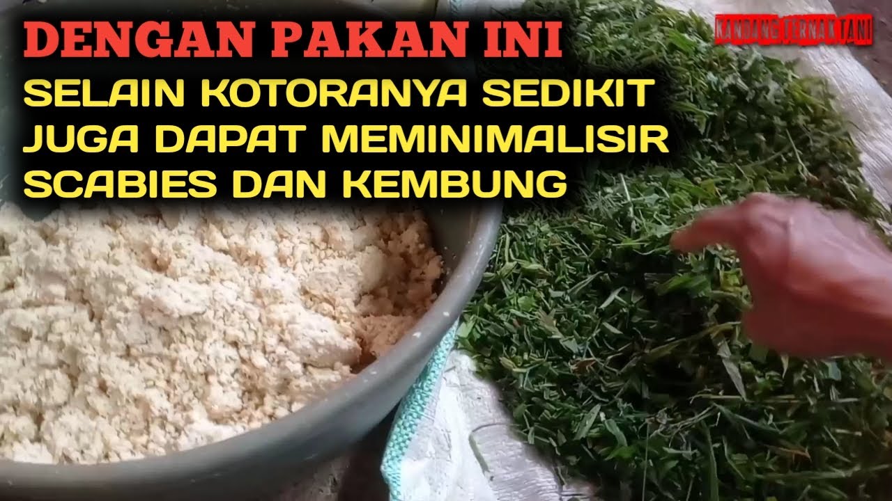 Pakan ini meminimalisir kotoran dikandang kelinci
