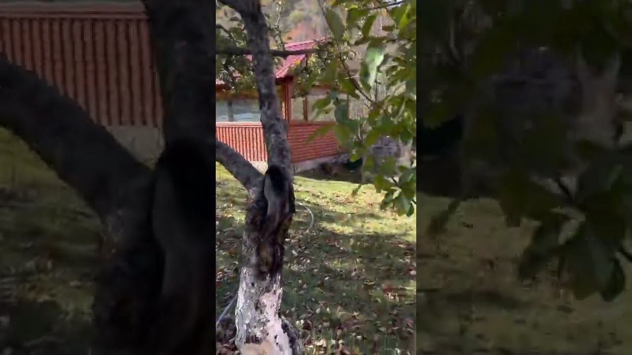 Lahich Village Azerbaijan