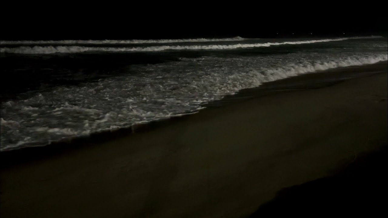 Instant Deep Sleep • Soothing Ocean Sounds for a Silent Mind and Deep Sleep